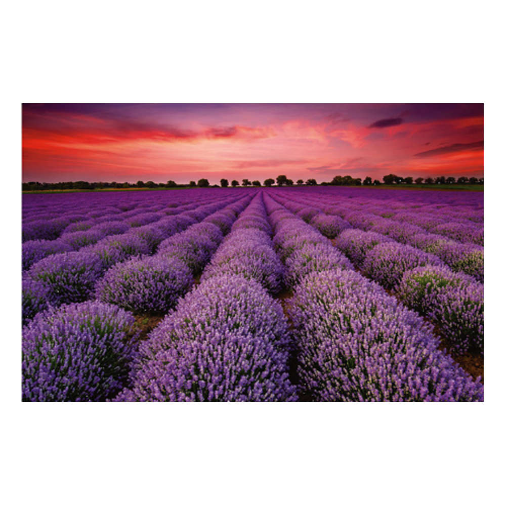 1000-Pieces-Landscape-Jigsaw-Puzzle-Toy-Decompression-Educational-Indoor-Toys-1667496-4
