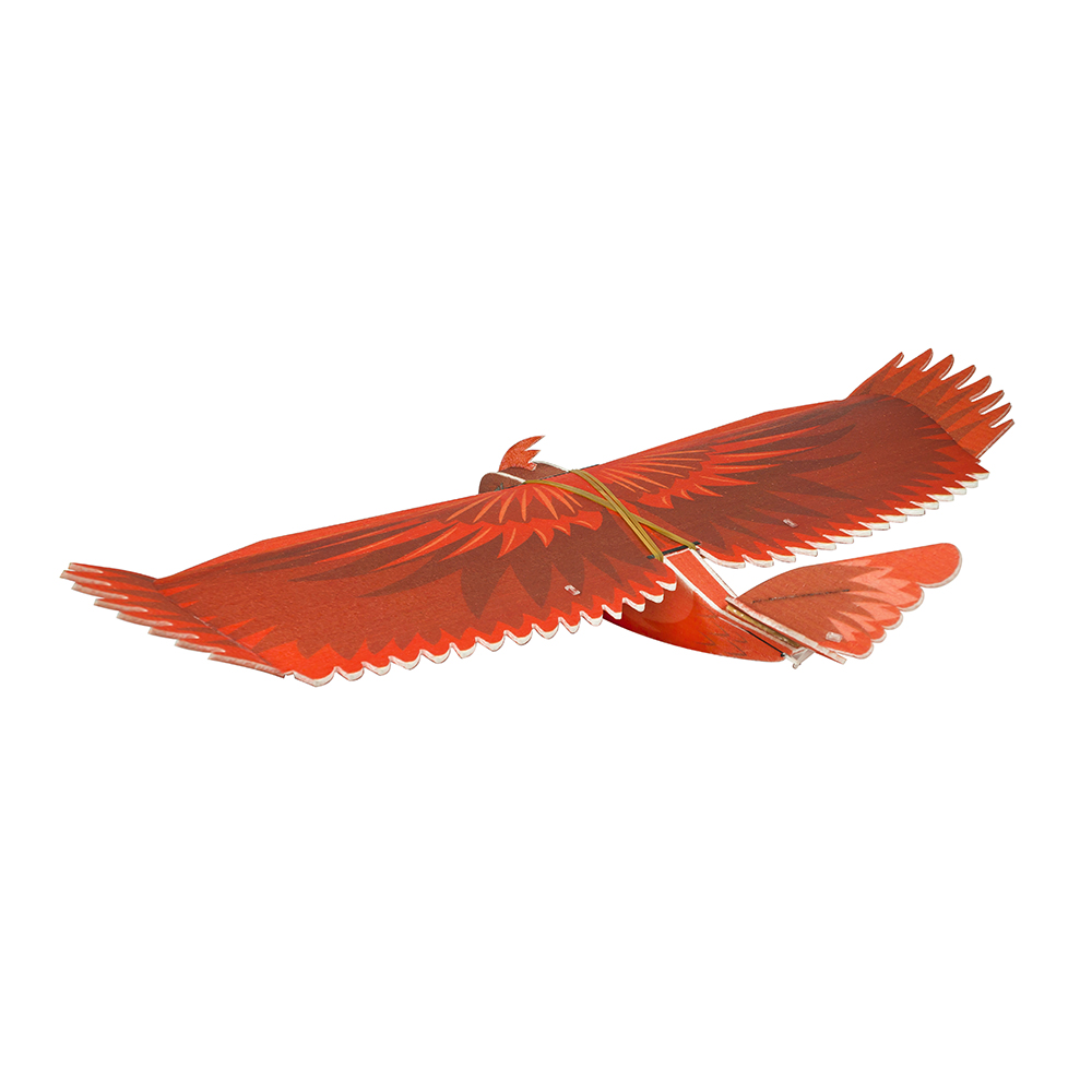 Dancing-Wings-Hobby-New-Biomimetic-Northern-Cardinal-1170mm-Wingspan-EPP-Foam-Slow-Flyer-RC-Airplane-1901492-3