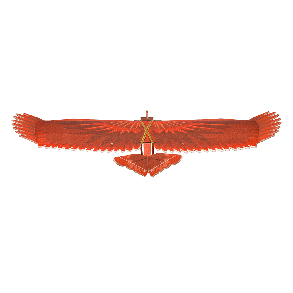 Dancing-Wings-Hobby-New-Biomimetic-Northern-Cardinal-1170mm-Wingspan-EPP-Foam-Slow-Flyer-RC-Airplane-1901492-4