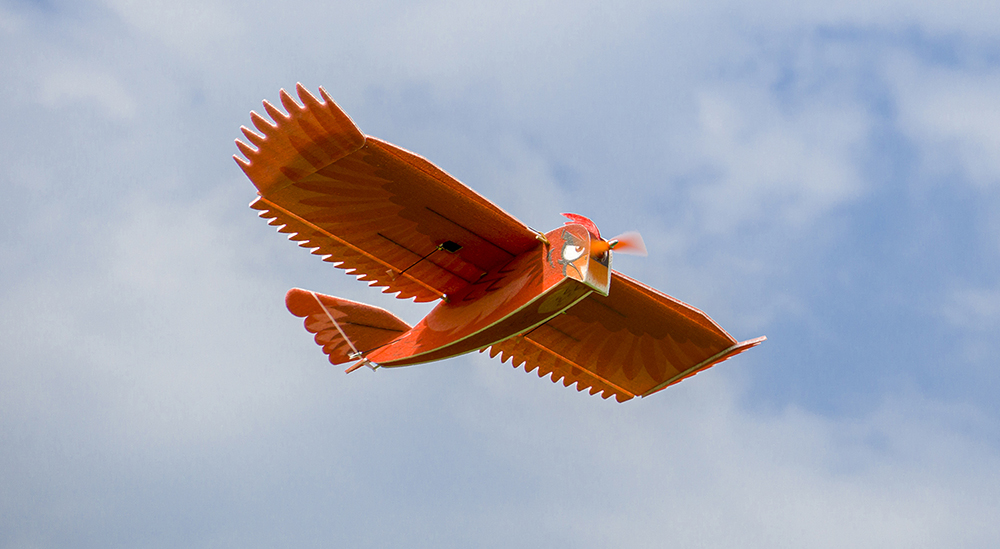 Dancing-Wings-Hobby-New-Biomimetic-Northern-Cardinal-1170mm-Wingspan-EPP-Foam-Slow-Flyer-RC-Airplane-1901492-8