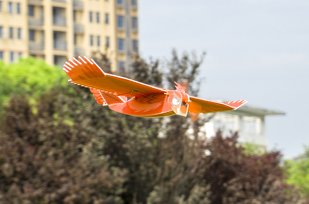 Dancing-Wings-Hobby-New-Biomimetic-Northern-Cardinal-1170mm-Wingspan-EPP-Foam-Slow-Flyer-RC-Airplane-1901492-9