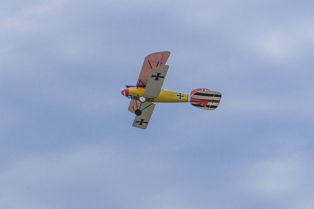 Dancing-Wings-Hobby-SCG31-Albatross--DrIII-18M-1800mm-Wingspan-Balsa-Wood-Scale-Biplane-RC-Airplane--1681434-3