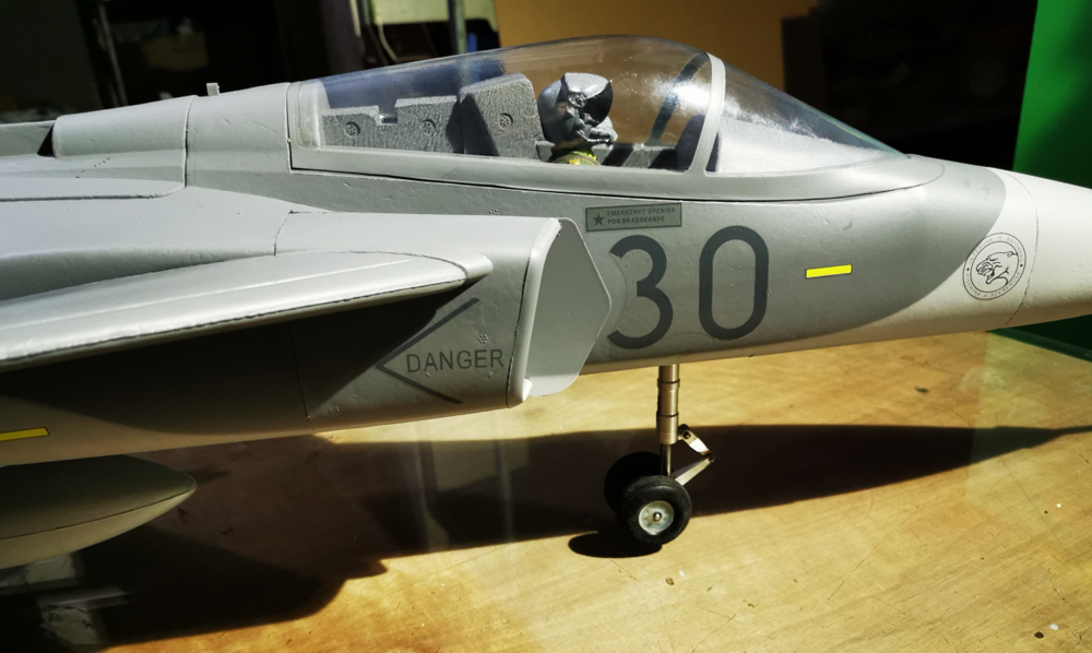 VOTIK-Gripen-JAS-39-AC-765mm-Wingspan-70mm-Ducted-Fan-EDF-Jet-EPO-Fighter-RC-Airplane-KITPNP-1859585-14