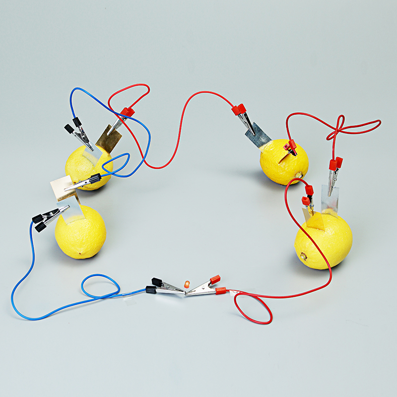 Fruit-Battery-Light-Diode-Science-Kit-Orange-Potato-Lemon-Battery-Physics-Teaching-Experiment-1231210-3
