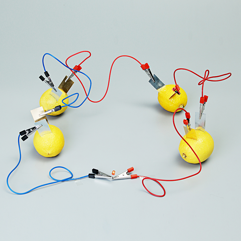 Fruit-Battery-Light-Diode-Science-Kit-Orange-Potato-Lemon-Battery-Physics-Teaching-Experiment-1231210-3