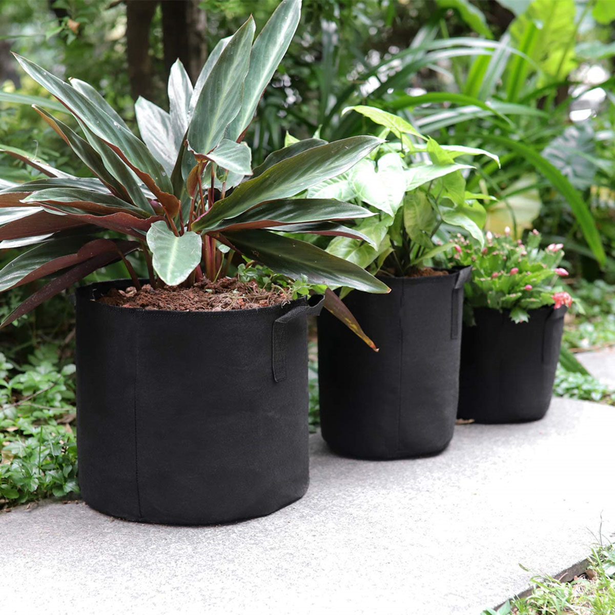 Non-woven-Fabric-Planting-Grow-Box-Vegetable-Flower-Pots-Bag-Planter-Black-with-Handles-1678096-5