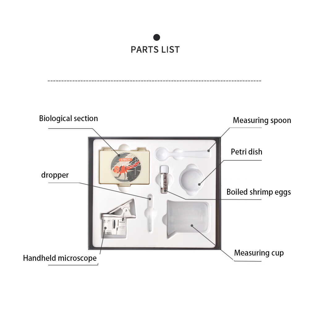 Batbunny-Micro-world-Portable-Magnifying-Glass-Set-Science-Experimental-Observation-Toy-1657439-4