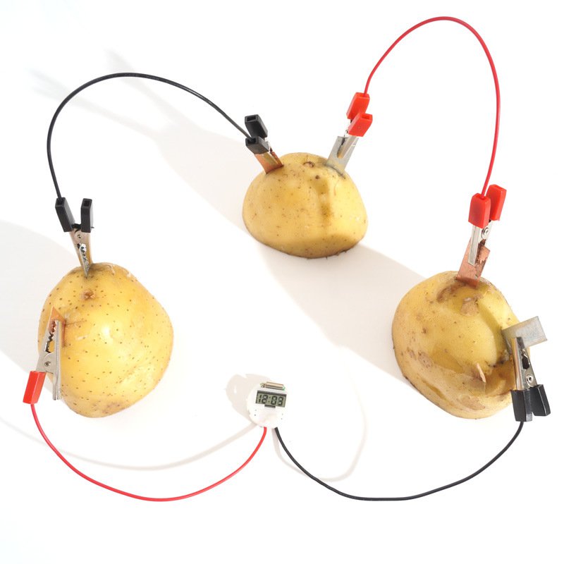 DIY-Potato-Powered-Fruit-Digital-Clock-Kit-For-Kids-Children-Science-Learning-Experience-Toys-1239684-1