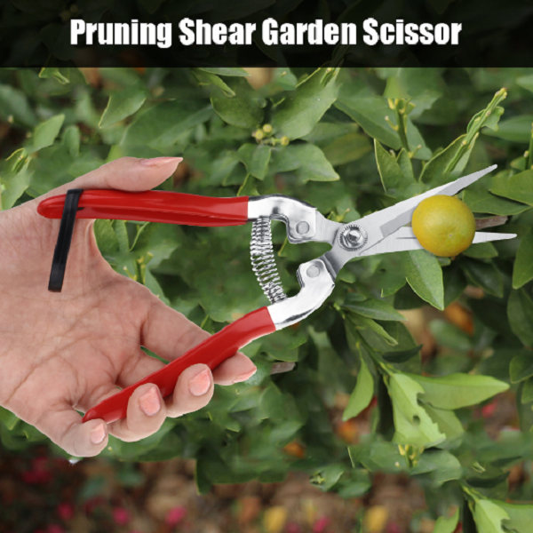 1PCS-Sakawada-908-Garden-Pruning-Scissors-Plant-Cutter-Flower-Fruit-Grape-Scissors-1675076-2