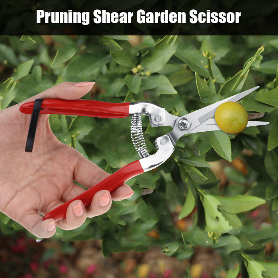 1PCS-Sakawada-908-Garden-Pruning-Scissors-Plant-Cutter-Flower-Fruit-Grape-Scissors-1675076-4