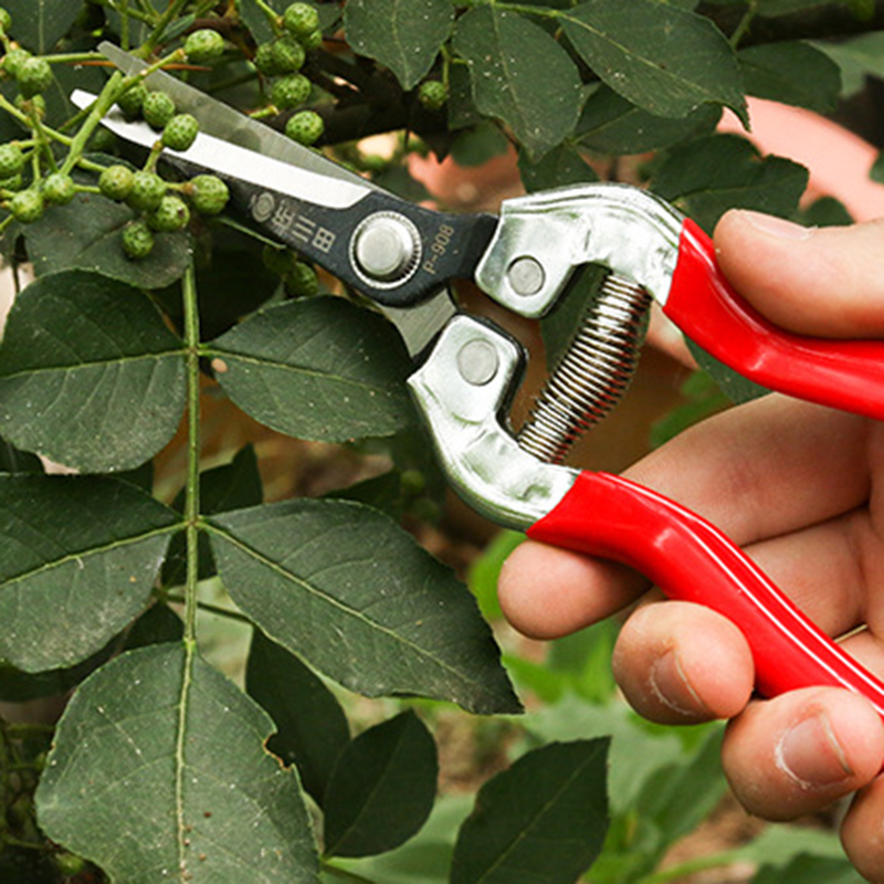 1PCS-Sakawada-908-Garden-Pruning-Scissors-Plant-Cutter-Flower-Fruit-Grape-Scissors-1675076-8