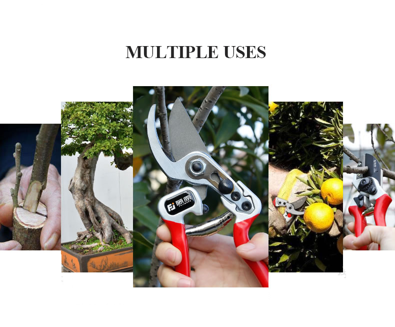 FUJIWARA-Pruning-Shears-Fruit-Tree-Garden-Scissors-Grafting-Tool-1747198-4