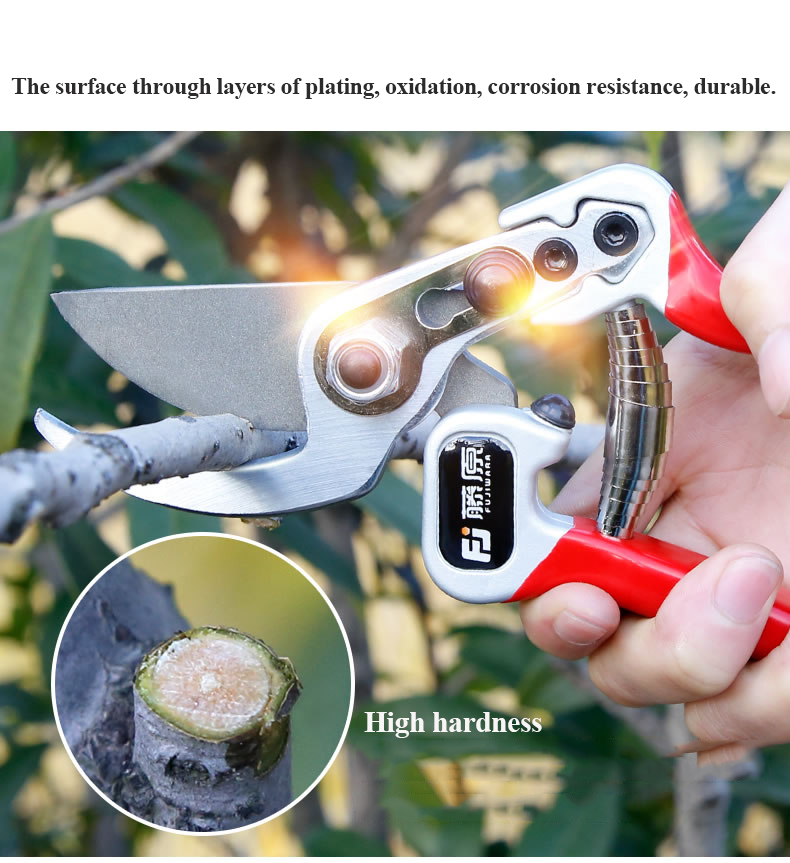 FUJIWARA-Pruning-Shears-Fruit-Tree-Garden-Scissors-Grafting-Tool-1747198-5