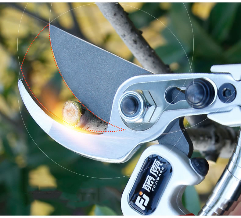 FUJIWARA-Pruning-Shears-Fruit-Tree-Garden-Scissors-Grafting-Tool-1747198-7