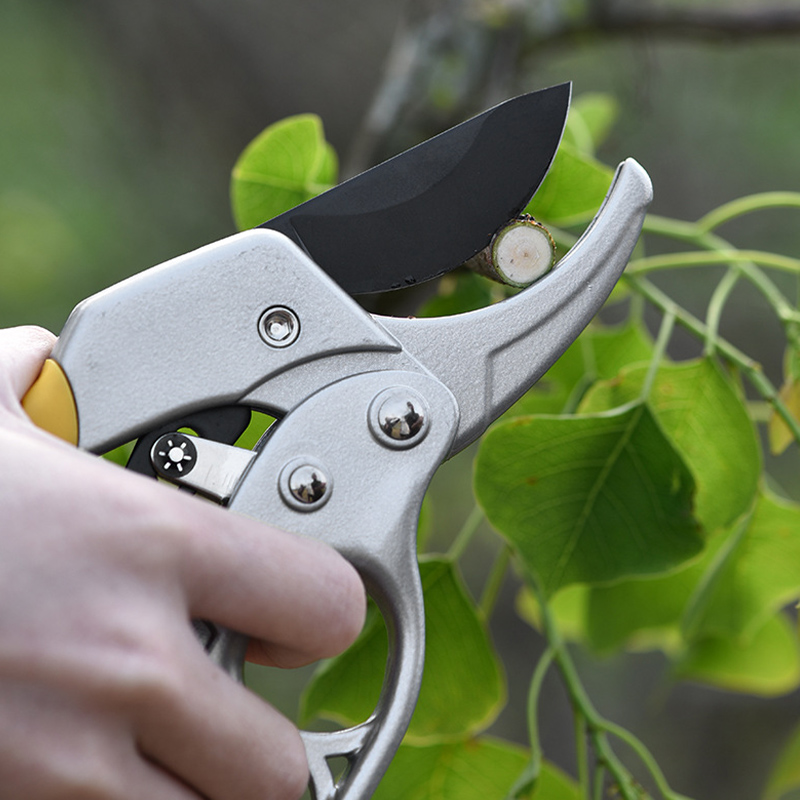 Pruning-Shear-Garden-Tools-High-Carbon-Steel-Scissors-Gardening-Labor-Saving-Plant-Sharp-Branch-Prun-1893864-11