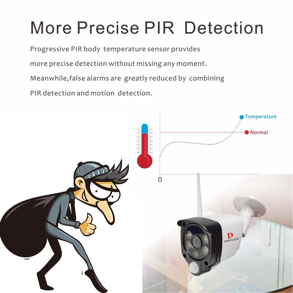 Pripaso-720P1080P-Full-HD-Human-Detection-PIR-IP-Camera-WiFi-Wireless-Network-CCTV-Video-Surveillanc-1697969-4