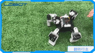 LOBOT-Alienbot-Microbit-Programmable-Multifunctional-PCAPP-Control--Smart-RC-Robot-1476889-3