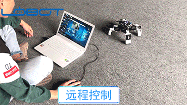 LOBOT-Alienbot-Raspberry-Programmable-PC-Stick-Control-Face-Recognition-Smart-RC-Robot-With-Camera-1491472-1
