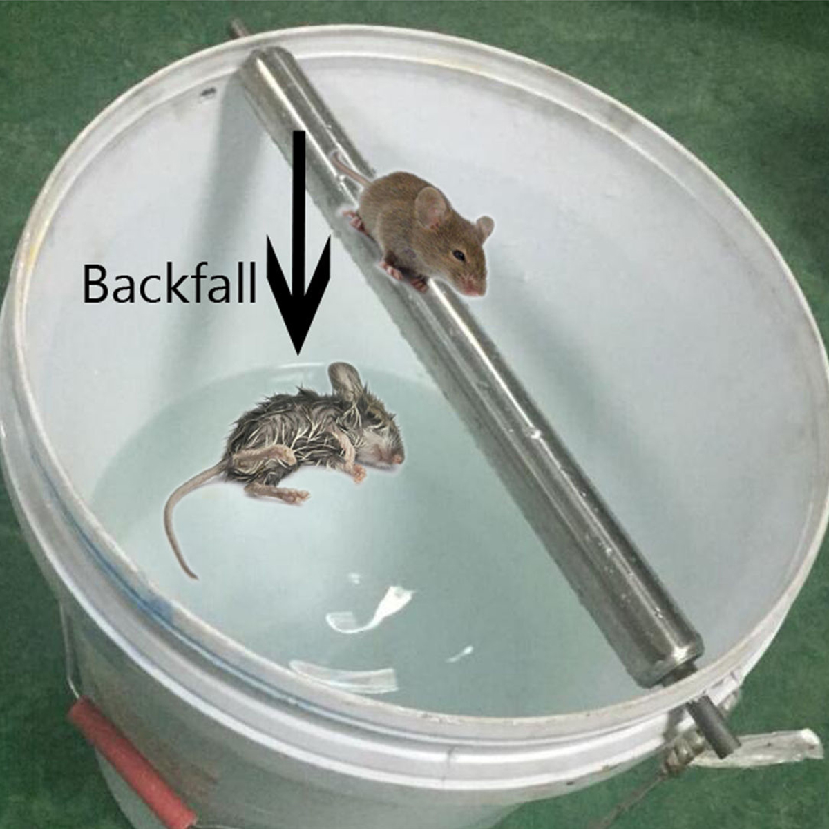 Rolling-Mouse-Trap-Rodent-Traps-Mouse-Control-Rolling-Mouse-Rats-Stick-Trap-1244300-3