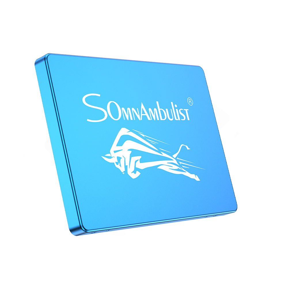 Somnambulist-25-inch-SATA-III-SSD-120GB256GB512GB2TB-3D-NAND-TLC-Flash-Solid-State-Drive-Hard-Disk-f-1948344-9