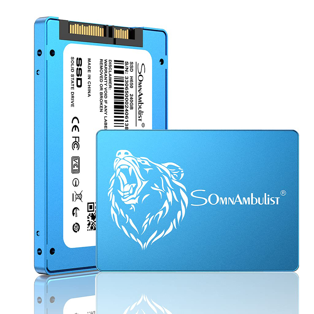 Somnambulist-25-inch-SATA-III-SSD-Solid-State-Drive-550MBs-120GB240GB480GB960GB2TB-Hard-Disk-for-Lap-1940003-11