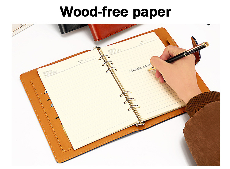 LY-Business-A5-Magnetic-PU-Leather-Wood-free-Paper-Loose-leaf-Notebook-with-Card-Holder-Pen-Slot-1660719-5