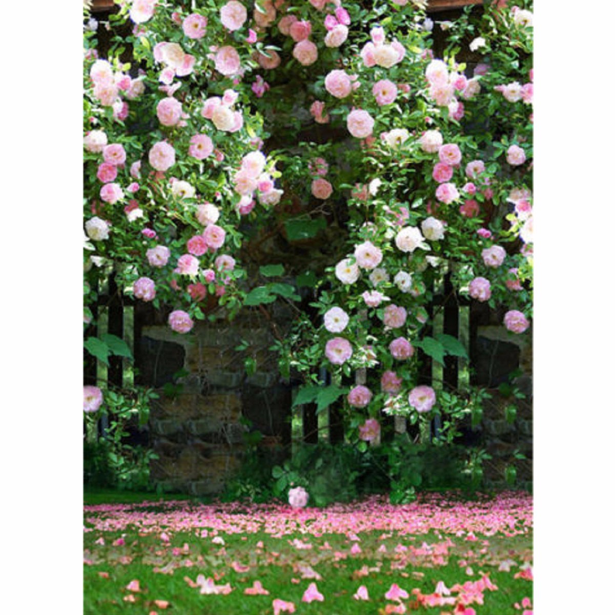 Photography-Vinyl-Background-Romantic-Wedding-Rendezvous-Garden-Roses-Cluster-1142376-4