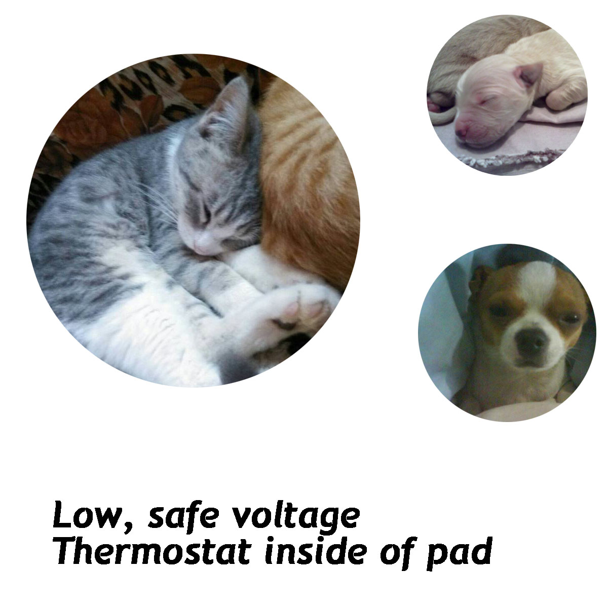 12V-Pet-Heat-Pad-Sotical-Veamor-Electric-Heating-Pad-for-Cats-and-Dogs-Waterproof-Warming-Mat-1239342-4