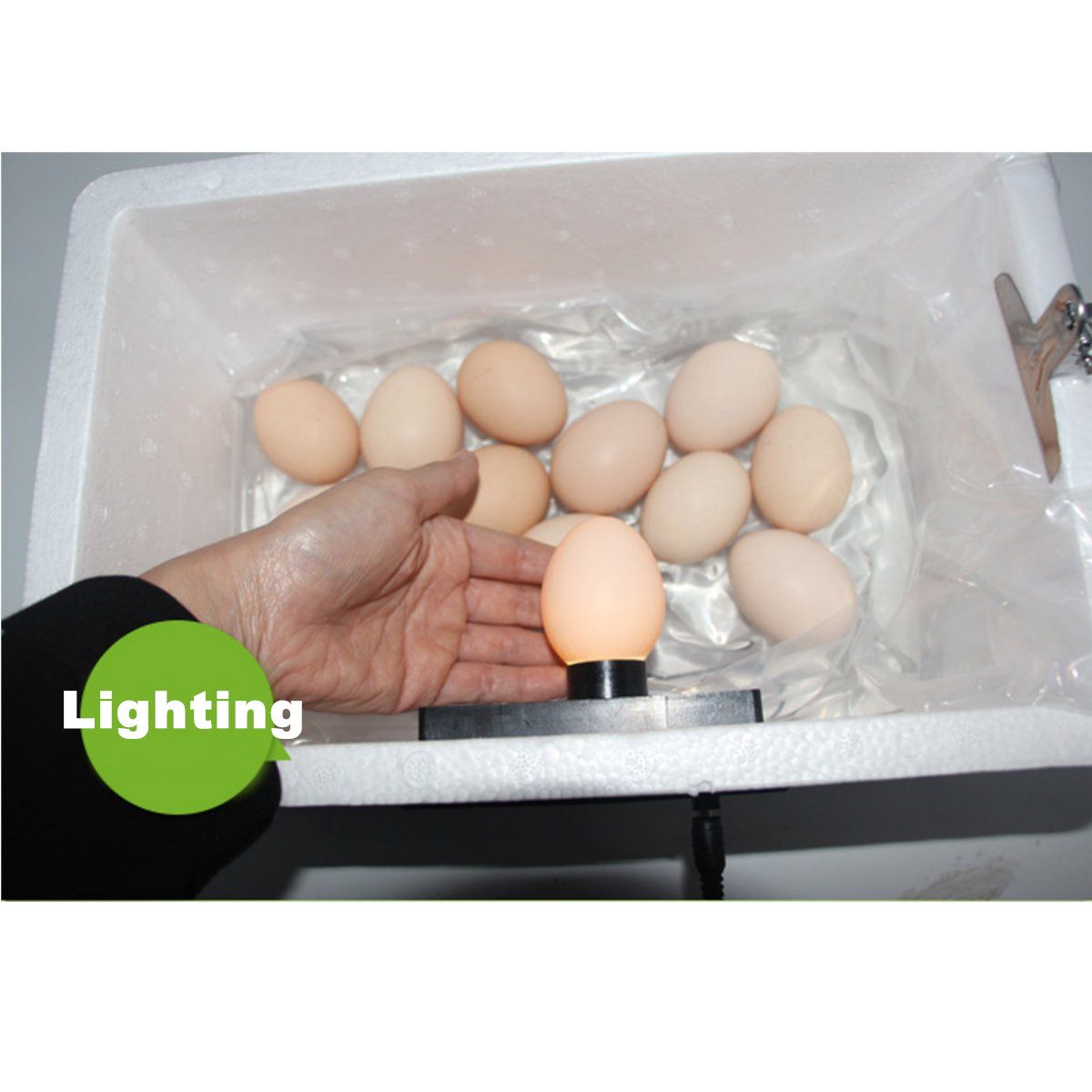 220V-22-Position-Automatic-Digital-Family-Egg-Incubator-Chicken-Poultry-Hatcher-Foam-1276894-7