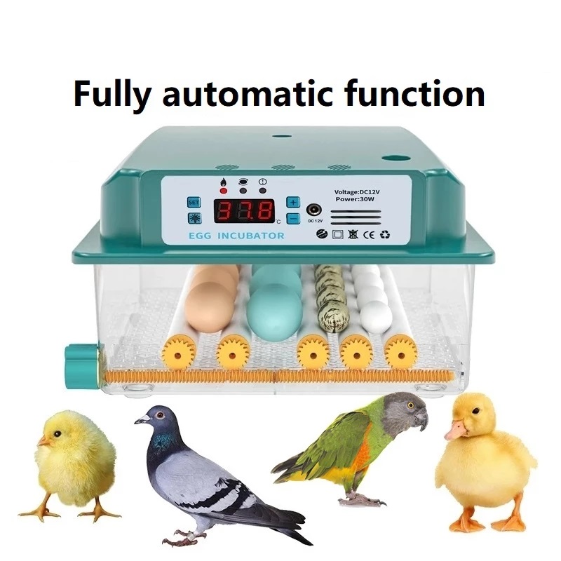 6-Eggs-Incubator-Egg-Incubator-Fully-Automatic-Incubator-Household-Brooder-Temperature-Controller-wi-1912578-1