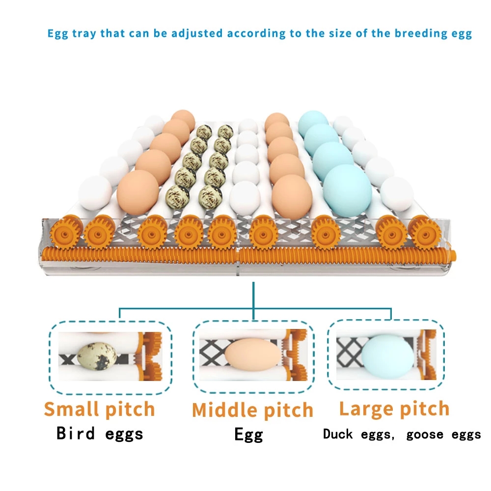 6-Eggs-Incubator-Egg-Incubator-Fully-Automatic-Incubator-Household-Brooder-Temperature-Controller-wi-1912578-12