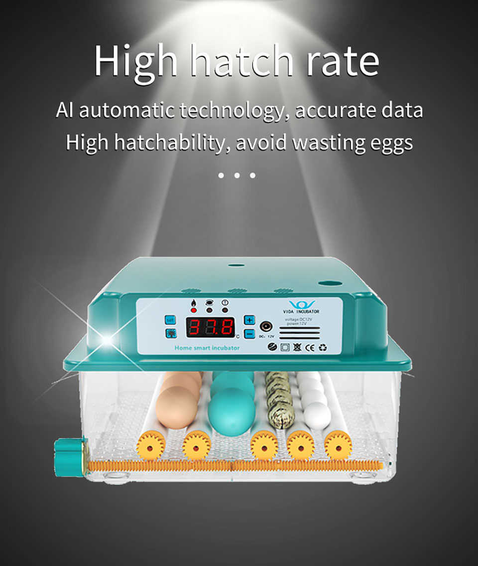 6-Eggs-Incubator-Egg-Incubator-Fully-Automatic-Incubator-Household-Brooder-Temperature-Controller-wi-1912578-5