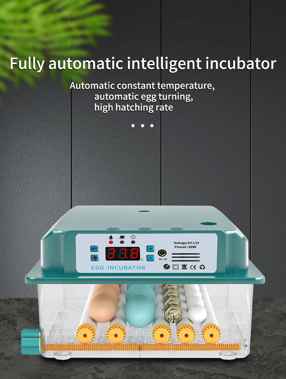6-Eggs-Incubator-Egg-Incubator-Fully-Automatic-Incubator-Household-Brooder-Temperature-Controller-wi-1912578-6