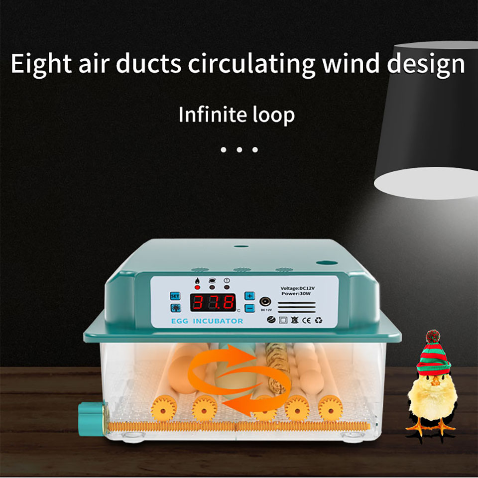 6-Eggs-Incubator-Egg-Incubator-Fully-Automatic-Incubator-Household-Brooder-Temperature-Controller-wi-1912578-7