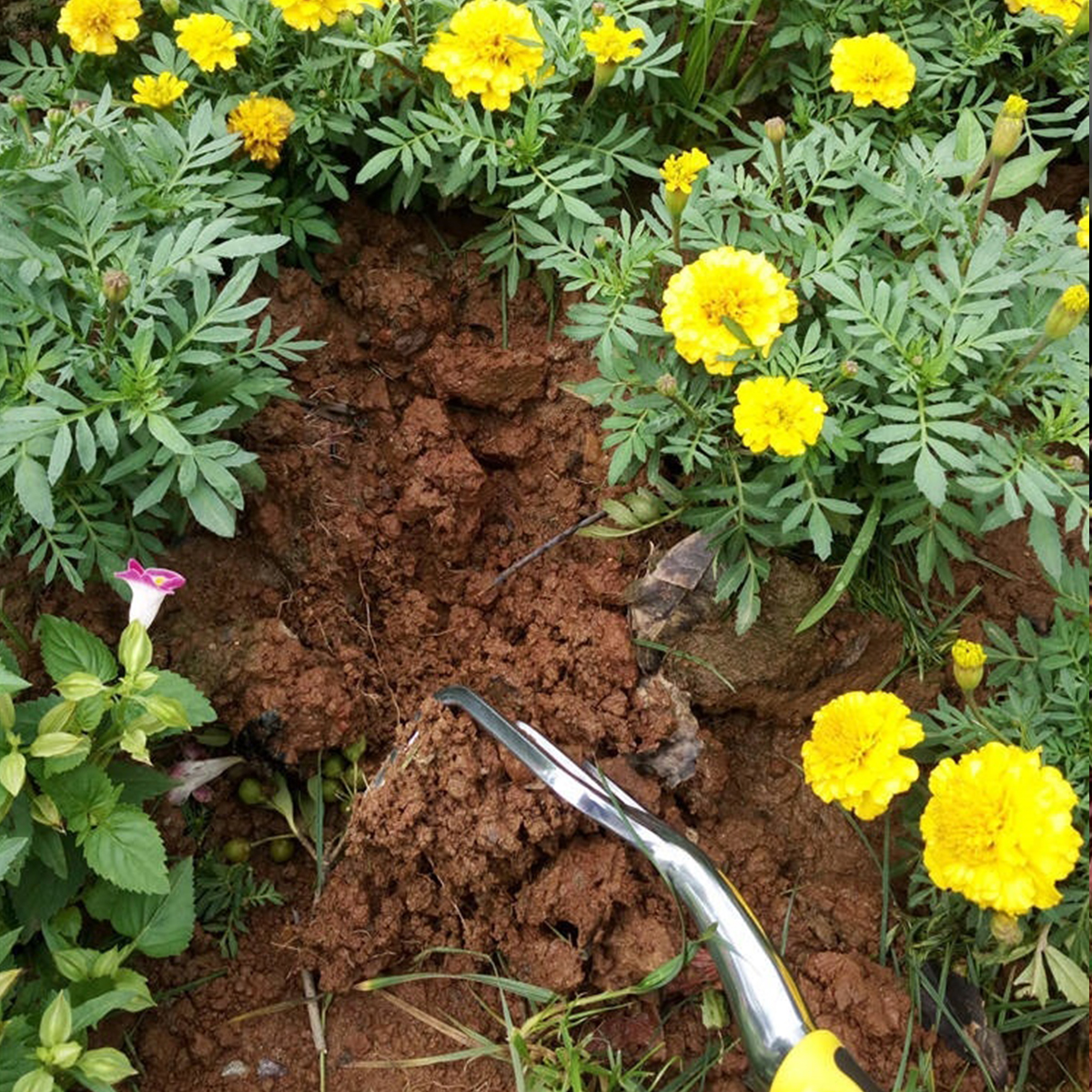 59PCS-Garden-Tool-Bag-Toolbag-Manual-Gardening-Planting-Hand-Fork-Digging-Tool-1695521-4