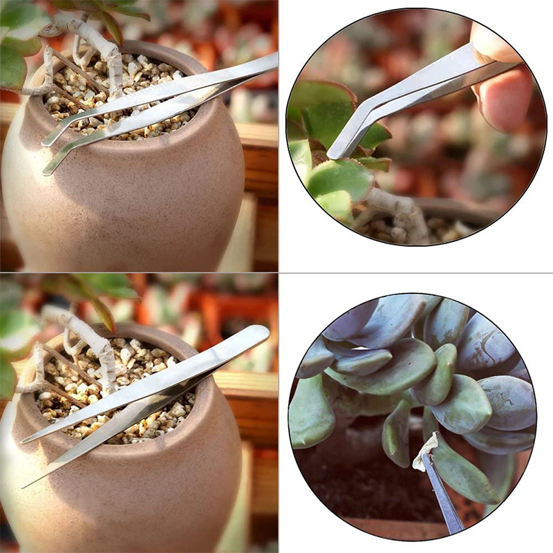 New-Succulent-Spade-Planting-Flower-Rake-Watering-Pot-Gardening-Tool-1812448-5