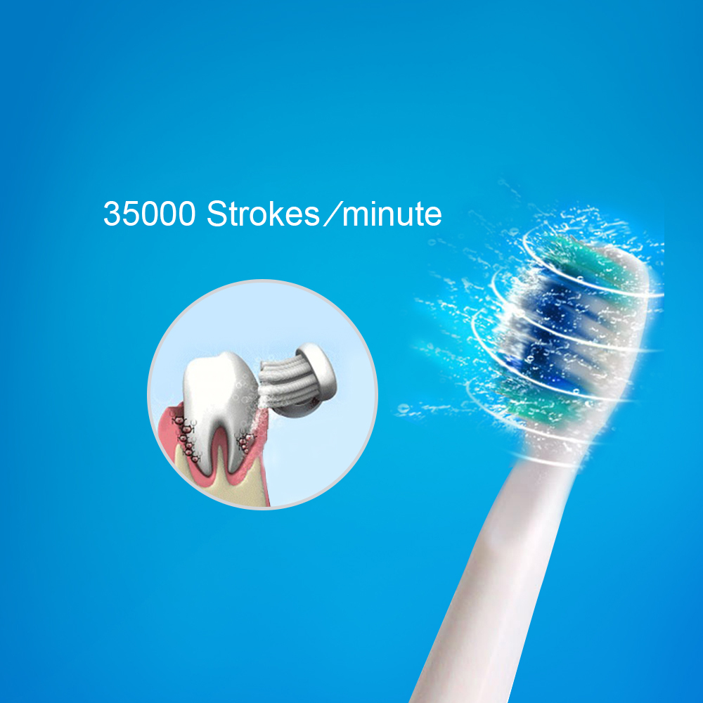 SEAGO-E1-Sonic-Electric-Toothbrush-Charging-Batteries-with-2-Brushing-Modes-Automatic-Toothbrush-1250093-4