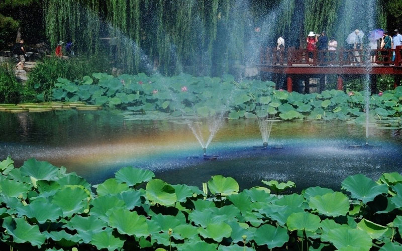 7V-Solar-Power-Floating-Brushless-Water-Pump-Garden-Landscape-Submersible-Fountain-1002673-1