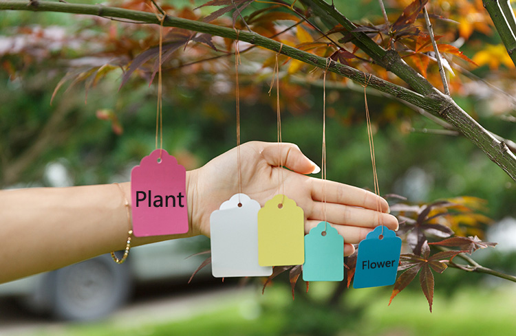 50pcs-Gardening-Plant-Waterproof-Hanging-Tags-Flower-Vegetable-Planting-Label-Tools-1072030-1