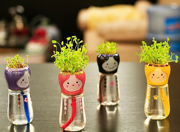 DIY-Mini-Doll-Tail-Water-Absorption-Potted-Plant-Desktop-Office-Decor-964746-1