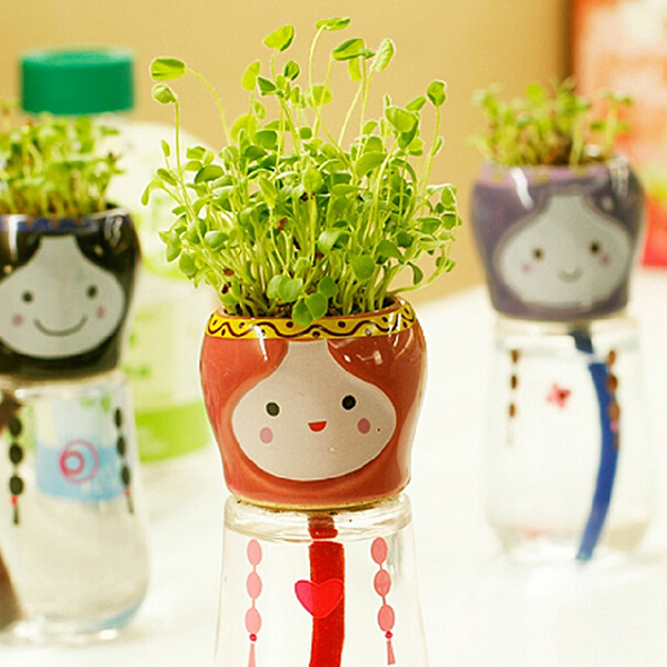 DIY-Mini-Doll-Tail-Water-Absorption-Potted-Plant-Desktop-Office-Decor-964746-2