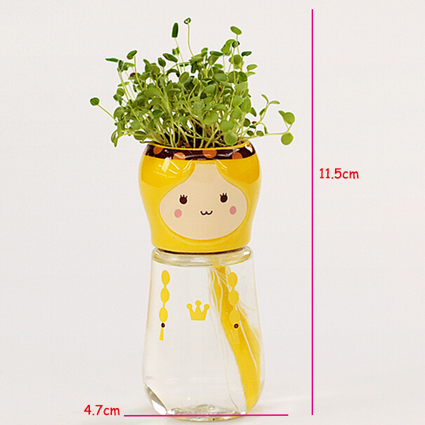 DIY-Mini-Doll-Tail-Water-Absorption-Potted-Plant-Desktop-Office-Decor-964746-11