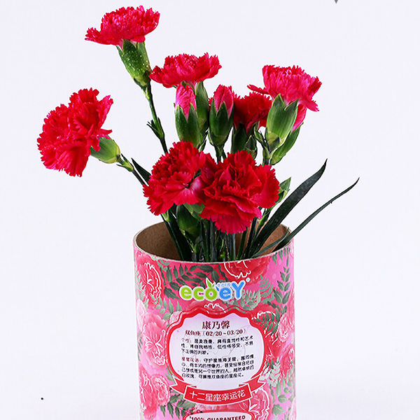 DIY-Mini-Zodiac-Lucky-Flower-Potted-Office-Desktop-Plant-Decor-964257-3