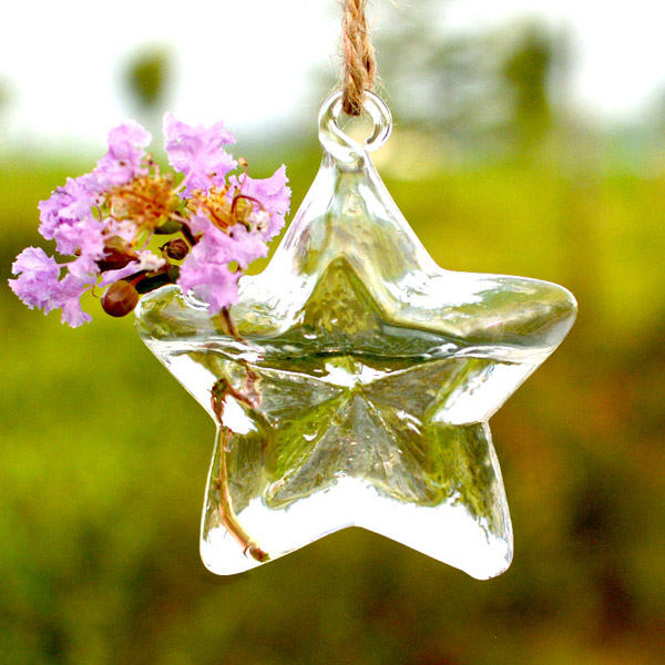 Lucky-Star-Shape-Glass-Flower-Vase-Hydroponic-Plant-Container-961958-3