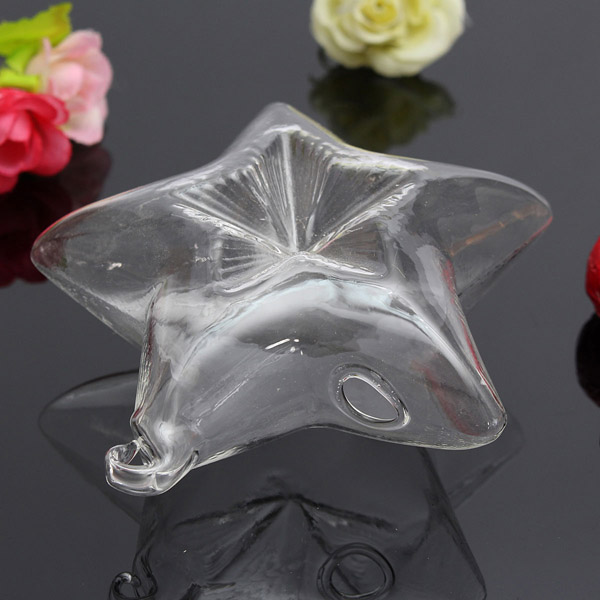 Lucky-Star-Shape-Glass-Flower-Vase-Hydroponic-Plant-Container-961958-5