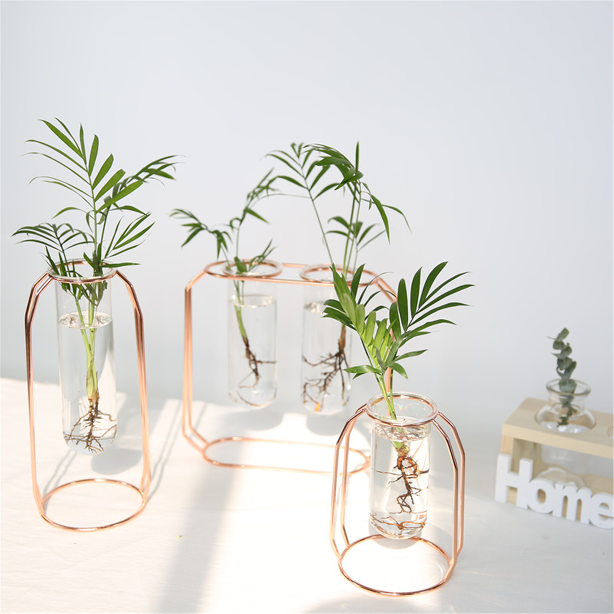 Glass-Vase-Flower-Holder-Plant-Container-Metal-Line-for-Decorations-1450433-1